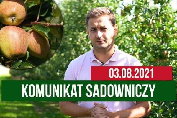 Komunikat sadowniczy 03.08.2021 / zbiory pestkowych, nawożenie po zbiorach